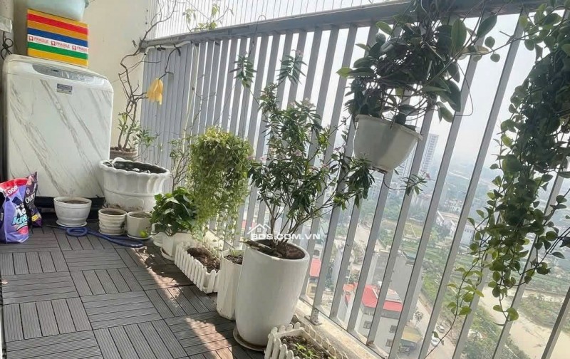 Chung cư Ruby Garden, Nguyễn Sỹ Sách, P15, TB, 87m2, 2PN, 11tr/tháng.