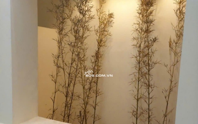 Cho thuê nhà 82/279 đường Đà Nẵng, Ngô Quyền, Hải Phòng 6 triệu/1 tháng