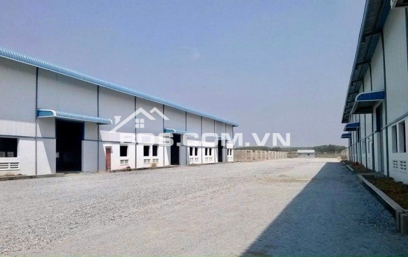 KD THUA LỖ BÁN GẤP GÓC 2MT 1.675M2 ĐẤT ĐƯỜNG THÔNG RA KCN, NHÀ MÁY ĐANG H.ĐỘNG. GIÁ 170TR