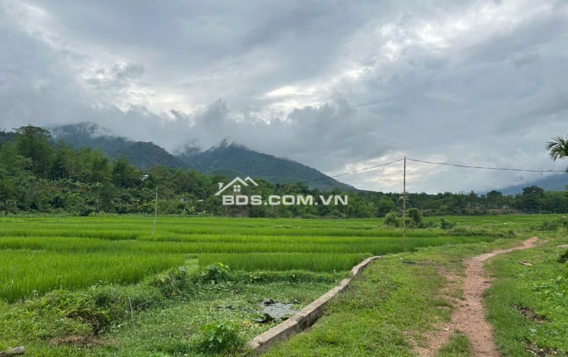 Chính chủ bán 10,0000m2 đất tại Cun Pheo, Mai Châu, Hoà Bình
