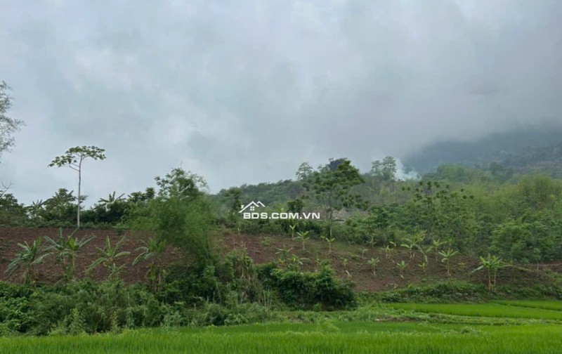 Chính chủ cần bán gấp 2800m2 đất trong đó có 250m2 đất thổ cư tại Mai Châu, Hoà Bình