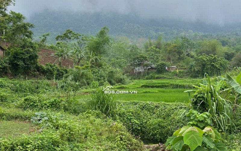 Chính chủ cần bán gấp 2800m2 đất trong đó có 250m2 đất thổ cư tại Mai Châu, Hoà Bình