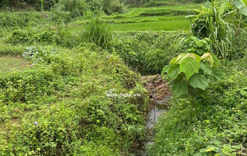 Chính chủ cần bán gấp 2800m2 đất trong đó có 250m2 đất thổ cư tại Mai Châu, Hoà Bình