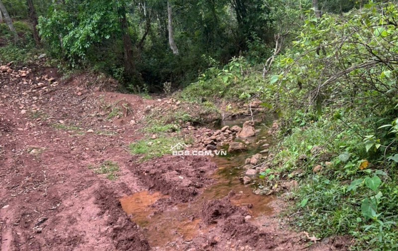 Chính chủ cần bán gấp 2800m2 đất trong đó có 250m2 đất thổ cư tại Mai Châu, Hoà Bình