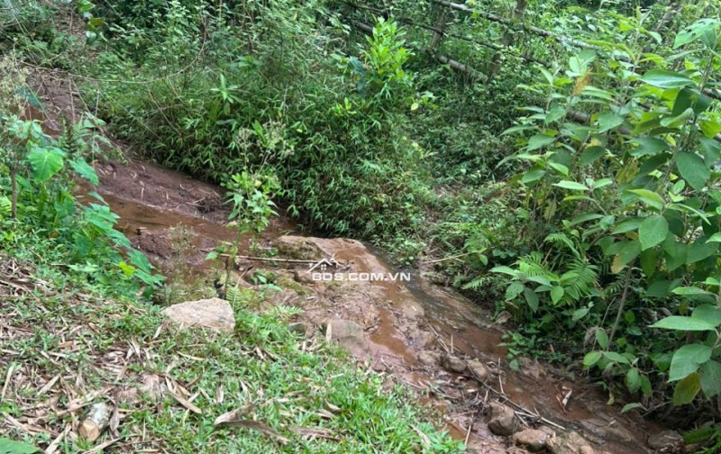 Chính chủ cần bán gấp 2800m2 đất trong đó có 250m2 đất thổ cư tại Mai Châu, Hoà Bình