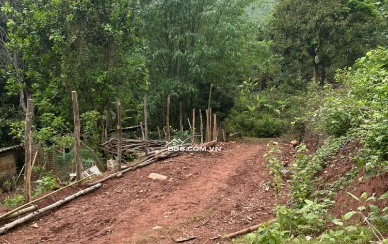 Chính chủ cần bán gấp 2800m2 đất trong đó có 250m2 đất thổ cư tại Mai Châu, Hoà Bình