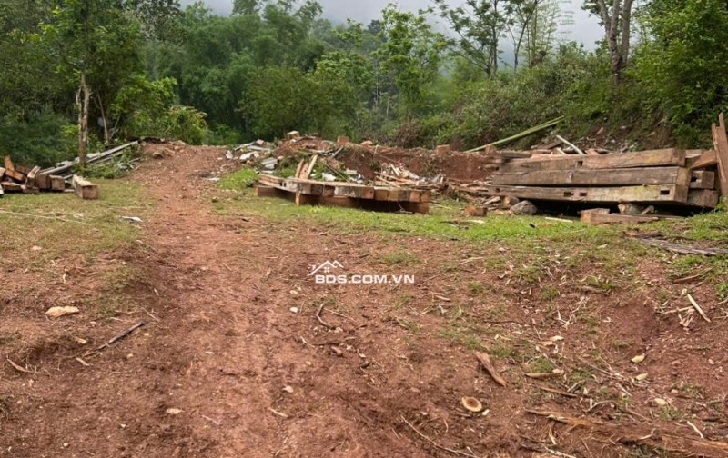 Chính chủ cần bán gấp 2800m2 đất trong đó có 250m2 đất thổ cư tại Mai Châu, Hoà Bình