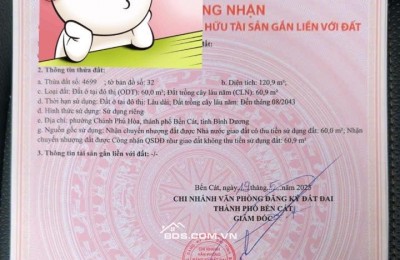 Đất Chánh Phú Hoà, Bến Cát 10 x 24m 2 tỷ 40 triệu, 5 x 24m 1 tỷ 30 triệu
