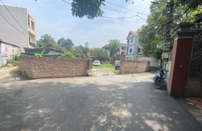 bán 700m đất trồng cây lâu năm tại Cổ Loa - Đông Anh - Hà Nội