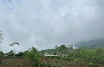 Chính chủ cần bán gấp 2800m2 đất trong đó có 250m2 đất thổ cư tại Mai Châu, Hoà Bình