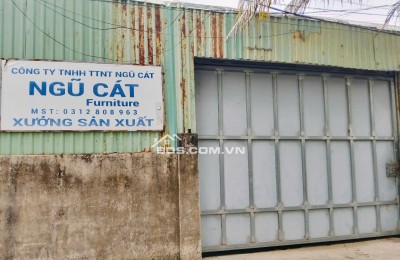 BÁN XƯỞNG ĐANG CHO THUÊ - HẺM XE HƠI - NHỊ BÌNH, HÓC MÔN - DIỆN TÍCH LỚN - GIÁ CHỈ 11 TỶ
