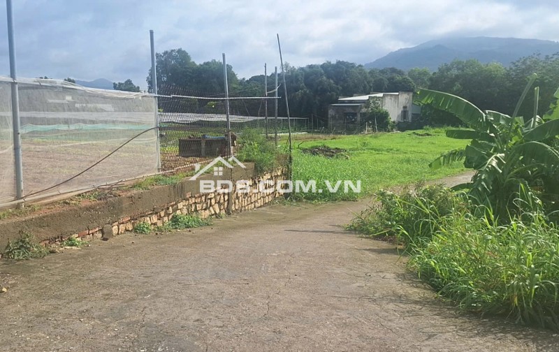 BÁN ĐẤT ĐƯỜNG TRÁNH QL56 TÂN HẢI, PHÚ MỸ, BÀ RỊA VŨNG TÀU. 1773M2 CÓ 300M2 THỔ CƯ. LH:0588201669