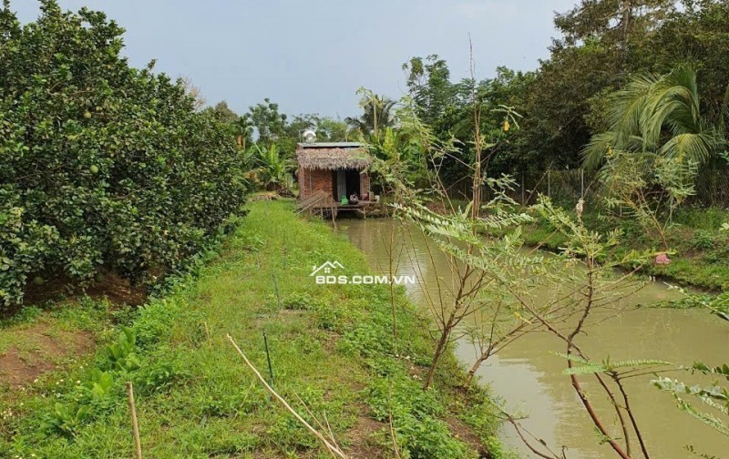 SỞ HỮU NGAY ĐẤT VƯỜN 4435m² TẠI ĐỒNG NAI CHỈ VỚI 4,4 TỶ ĐỒNG