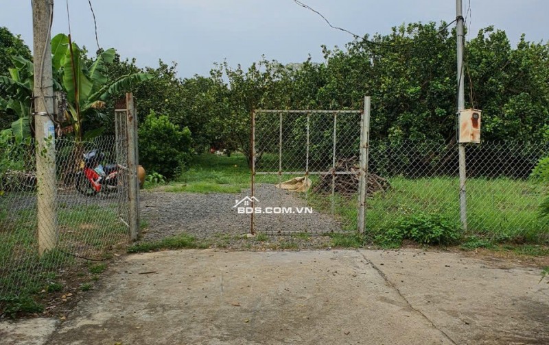 SỞ HỮU NGAY ĐẤT VƯỜN 4435m² TẠI ĐỒNG NAI CHỈ VỚI 4,4 TỶ ĐỒNG