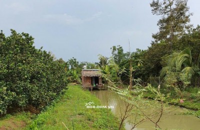 SỞ HỮU NGAY ĐẤT VƯỜN 4435m² TẠI ĐỒNG NAI CHỈ VỚI 4,4 TỶ ĐỒNG