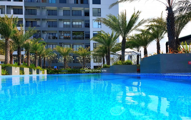 Căn hộ 1PN Lavida Plus Quận 7 chỉ từ 3.7 Tỷ – Sở hữu nhà trung tâm, nhận ngay nhà hoàn thiện