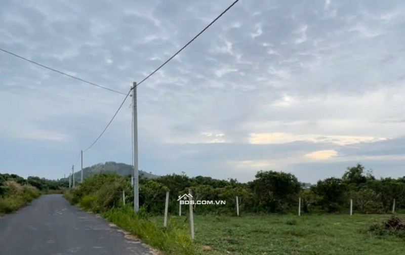 CHÍNH CHỦ GỞI BÁN ĐẤT HỒ TRÀM 3 MẶT TIỀN 7.8TR/M2 TỔNG 1.009M2 TRỊ GIÁ 7TY9.