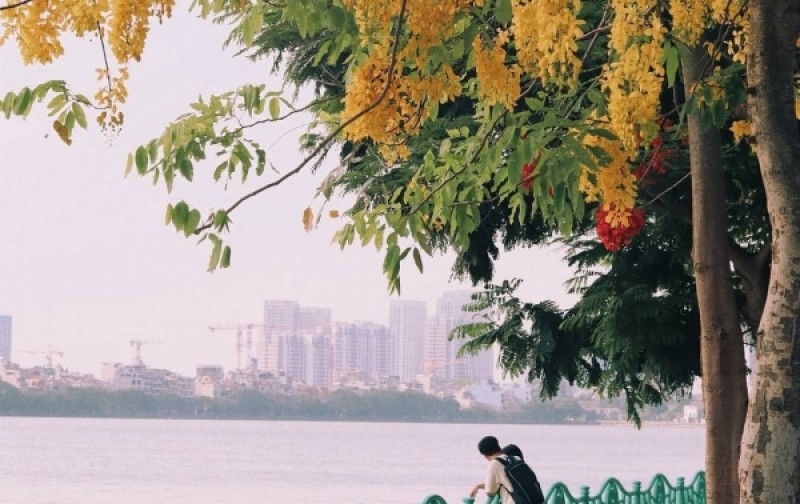 Bán nhà mặt ngõ Võng Thị 35m, mặt tiền 5.73, 6 tầng, oto đỗ cửa!