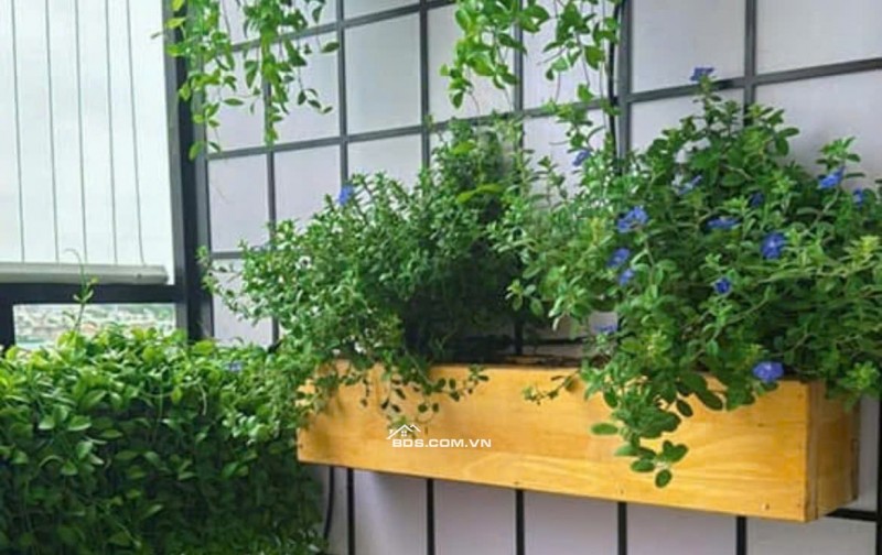 Chung cư Carillon 2, Hòa Thạnh, Tân Phú : 78m2, 2p ngủ, 10tr/th