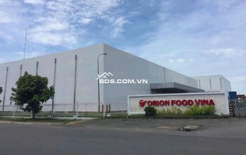CẦN TIỀN BÁN 1024M2 ĐẤT NGAY TRUNG TÂM SÁT CHỢ, TRƯỜNG HỌC DÂN ĐÔNG. GIÁ 160TR