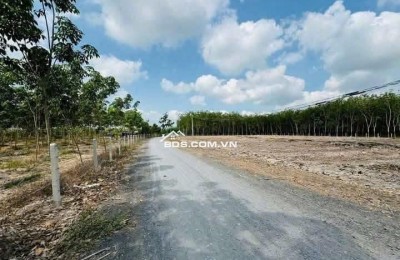  Đất 5x37m, thổ cư 100m² – Giá chỉ 480 triệu