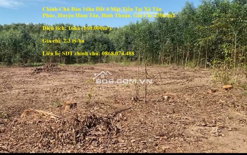 Chính Chủ Bán 16ha Đất 4 Mặt Tiền Tại Xã Tân Phúc, Huyện Hàm Tân, Bình Thuận. Giá Chỉ 230k/m2