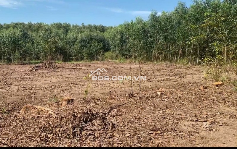 Chính Chủ Bán 16ha Đất 4 Mặt Tiền Tại Xã Tân Phúc, Huyện Hàm Tân, Bình Thuận. Giá Chỉ 230k/m2