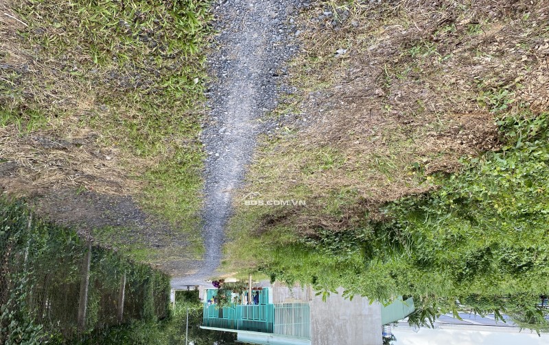 Cần bán lô đất 773m có 240m thổ cư gần ngã tư miếu ông cù bình dương. Cách cầu vượt sóng thần 20p đi xe máy