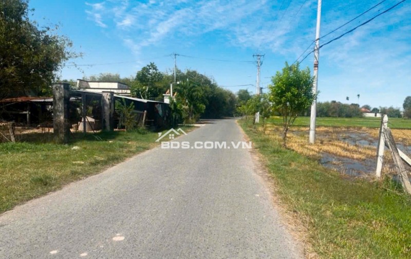 Cần sang gấp lô đất tại mặt tiền đường Phạm Thị Quới, Phú Mỹ Hưng ( nay là An Nhơn Tây), Củ Chi, TP. Hồ Chí Minh