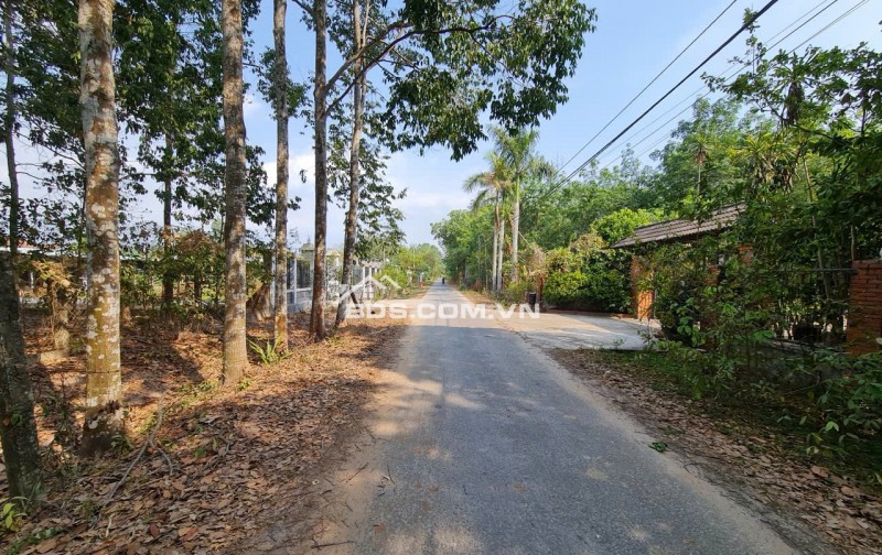 Cần sang gấp lô đất tại mặt tiền đường Phạm Thị Quới, Phú Mỹ Hưng ( nay là An Nhơn Tây), Củ Chi, TP. Hồ Chí Minh