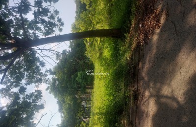 Bán đất Mê Linh, giá rẻ, cần bán gấp