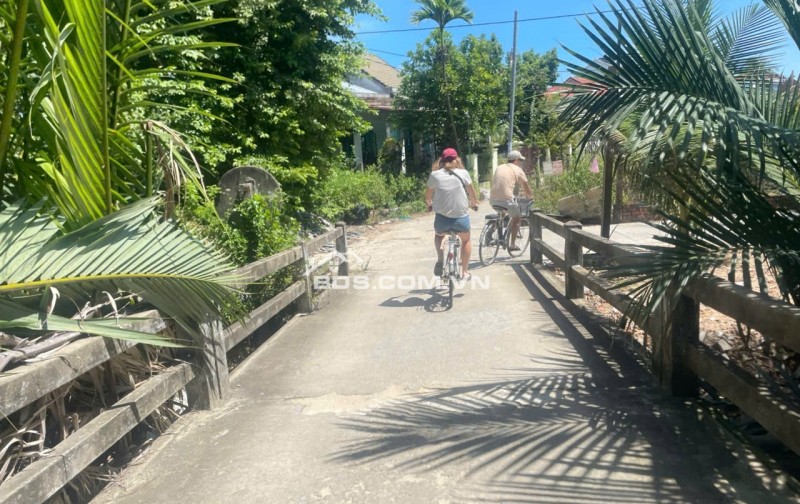 BÁN ĐẤT CẨM THANH