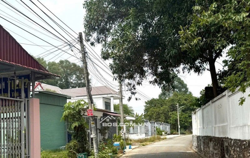 ĐẦU TƯ HÔM NAY – SINH LỜI MAI SAU