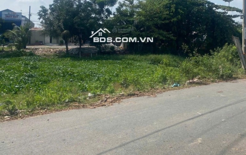 Chính chủ bán gấp chính chủ bán gấp lô đất 146.8m2 - MT Trần Hải Phụng, Bình Tân - Kẹt bank cắt lỗ