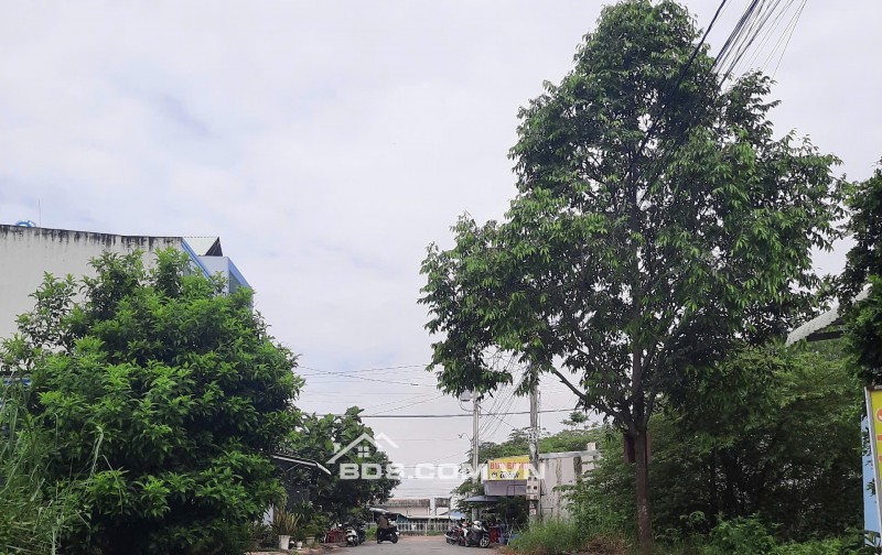 BÁN NHÀ MỚI XÂY-100m2- BÌNH CHÁNH-SỔ HỒNG RIÊNG