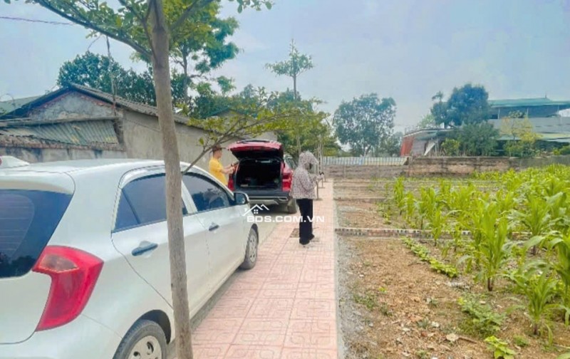 Chính Chủ Gửi Bán 144 m 50 thổ cư  chỉ 1, x tỷ 
Nhuận Trạch Lương Sơn -HB (PHÚ THỌ MỚI)