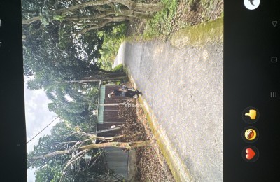 bán đất khóm thanh tiến , phường mỹ trà  , Đồng tháp